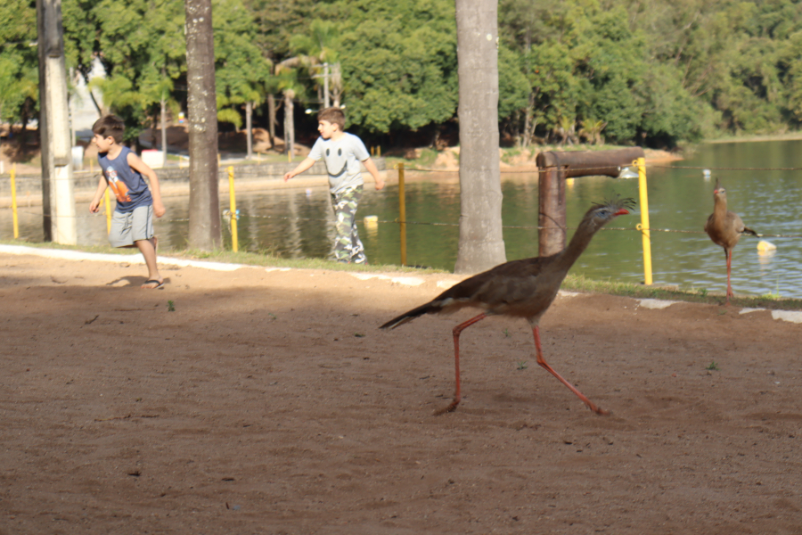 Parque Prainha